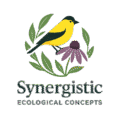 Synecocon.com